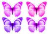 Picsart_26-06-17_00-56-40-627.png