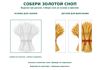 Sheaf_assemble_A4.png