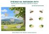 Bees_applique_stickers.png