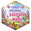 Picsart_26-06-16_19-03-12-559.jpg