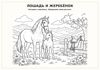 Adygskaya_shkatulka_A4 (1)_page-0032.jpg