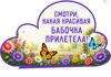 Picsart_26-06-16_12-09-28-984.png