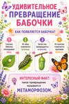 c05b28d0-cd4f-4264-8206-c770ce1c0225.png