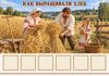Mordovia_harvest_board_208.png