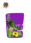 Picsart_25-05-19_20-53-46-558.jpg
