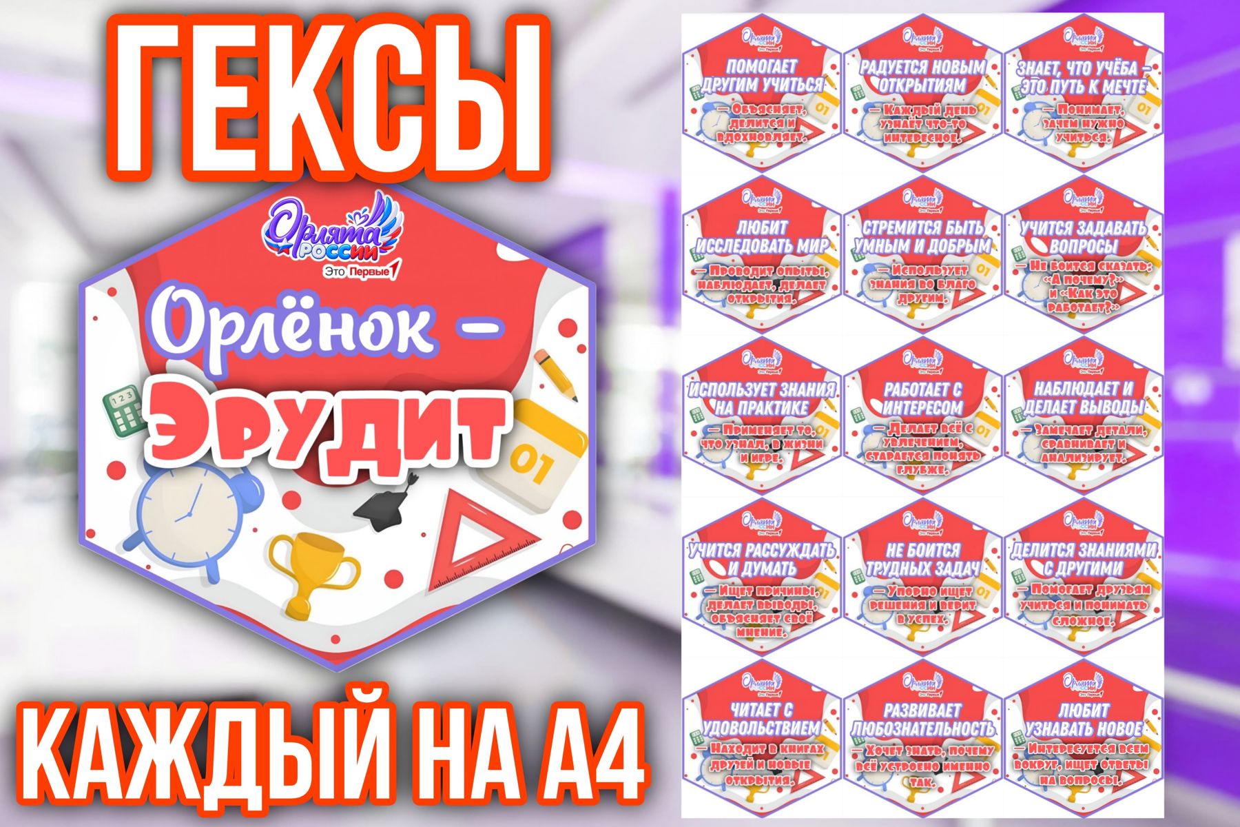 Превью шаблона Гексы «Эрудит» красные 