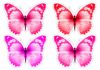 Picsart_26-06-17_00-56-24-307.png