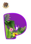 Picsart_25-05-19_20-53-34-194.jpg