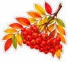 1f4b19fc-b48b-4949-aa3f-ffb4a05ceab5.png