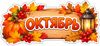 Picsart_26-09-07_02-01-31-944.jpg