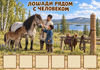 Sakha_horses_board_208.jpg